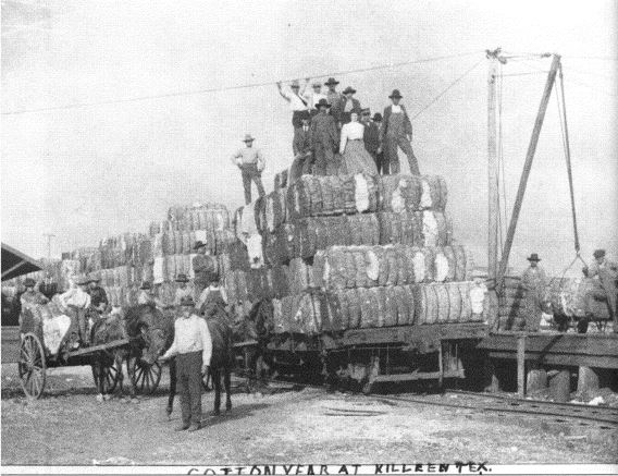 Killeen railroad cars loaded with cotton in 1905.