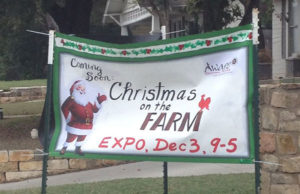 christmas on the farm