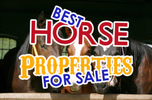 Best Horse Ranches For Sale in the Fort Hood Area