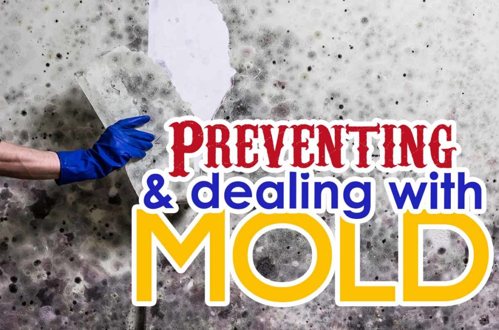 Preventing and dealing with mold