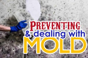 Preventing and dealing with mold